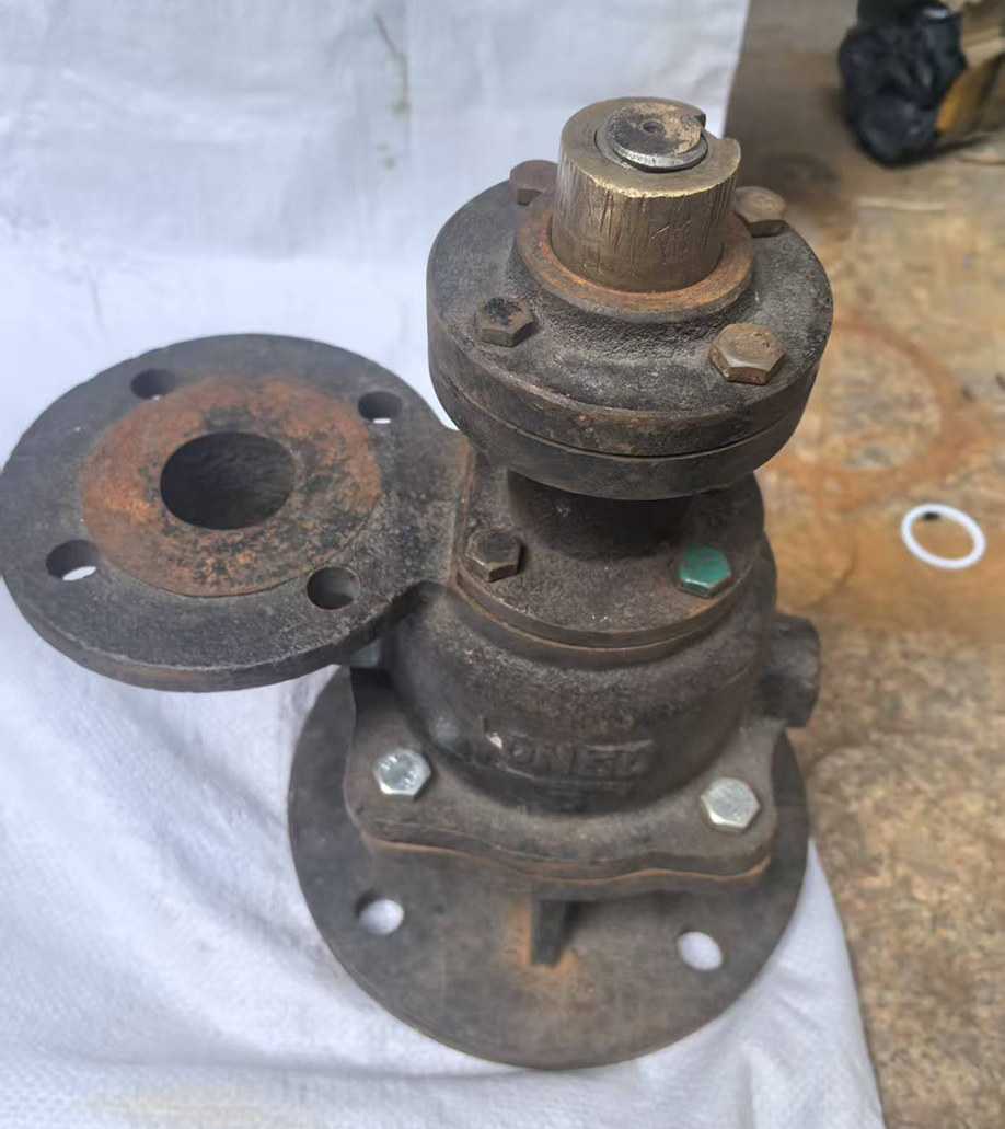 微信图片_20260108140507_744_179